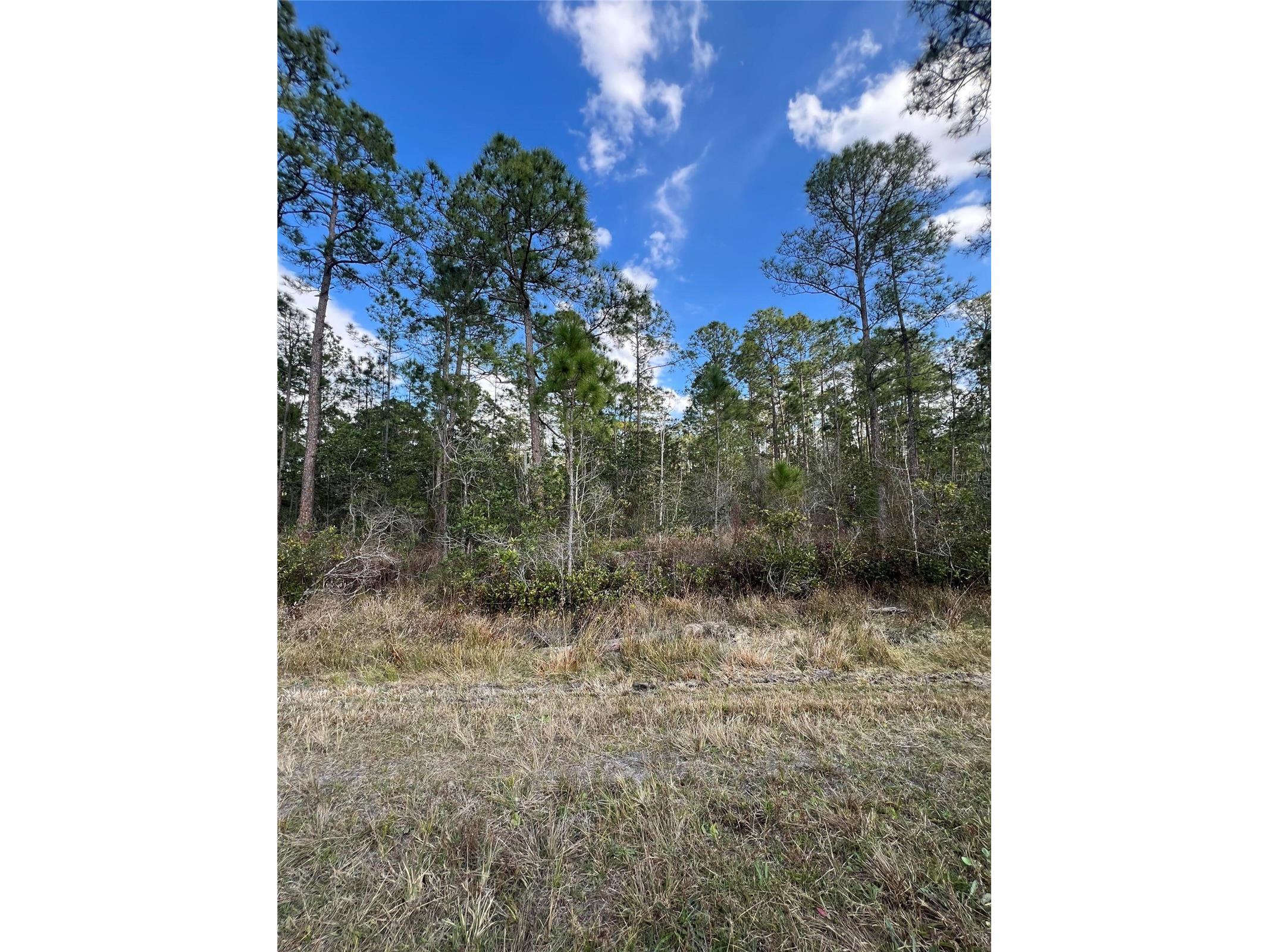 6727 Balboa Boulevard Sebring FL 33872 O6381491 image6