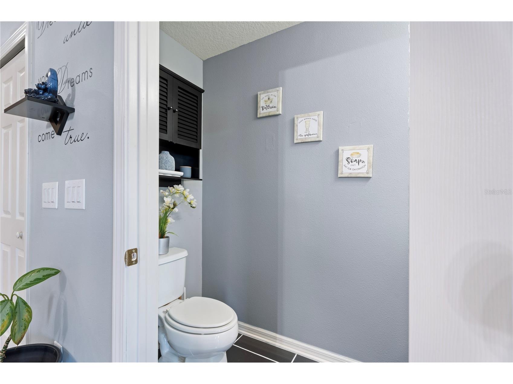 6727 Holly Heath Drive Riverview FL 33578 TB8474209 image10