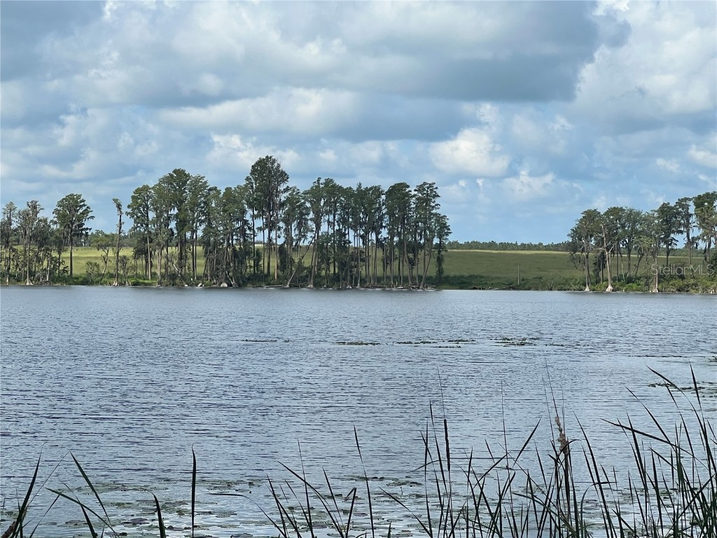 6727 Lake Nellie Road Clermont FL 34714 - BRANTLY LAKE G5070739 image1