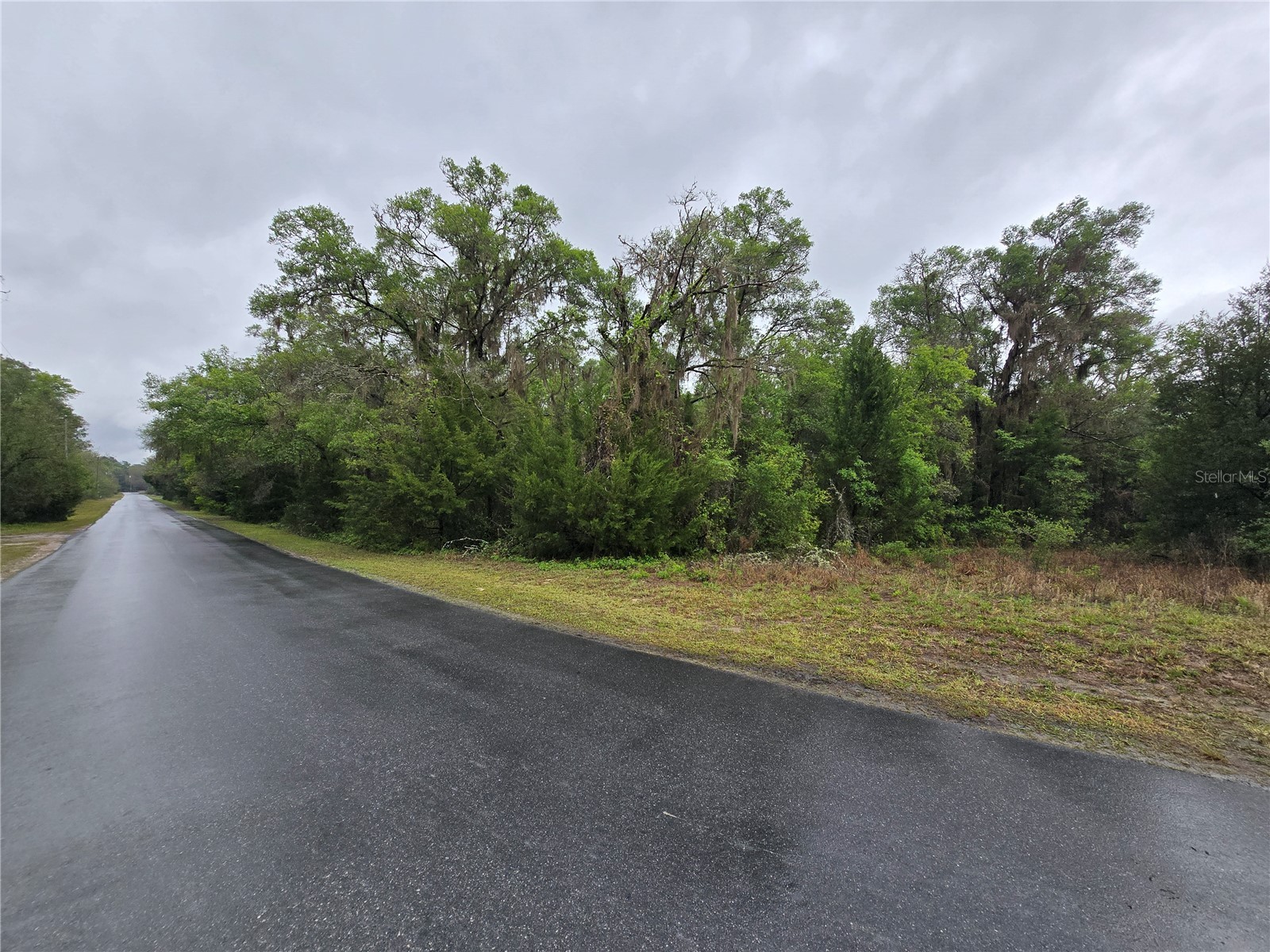 6727 N Linen Point Dunnellon FL 34433 W7885601 image4