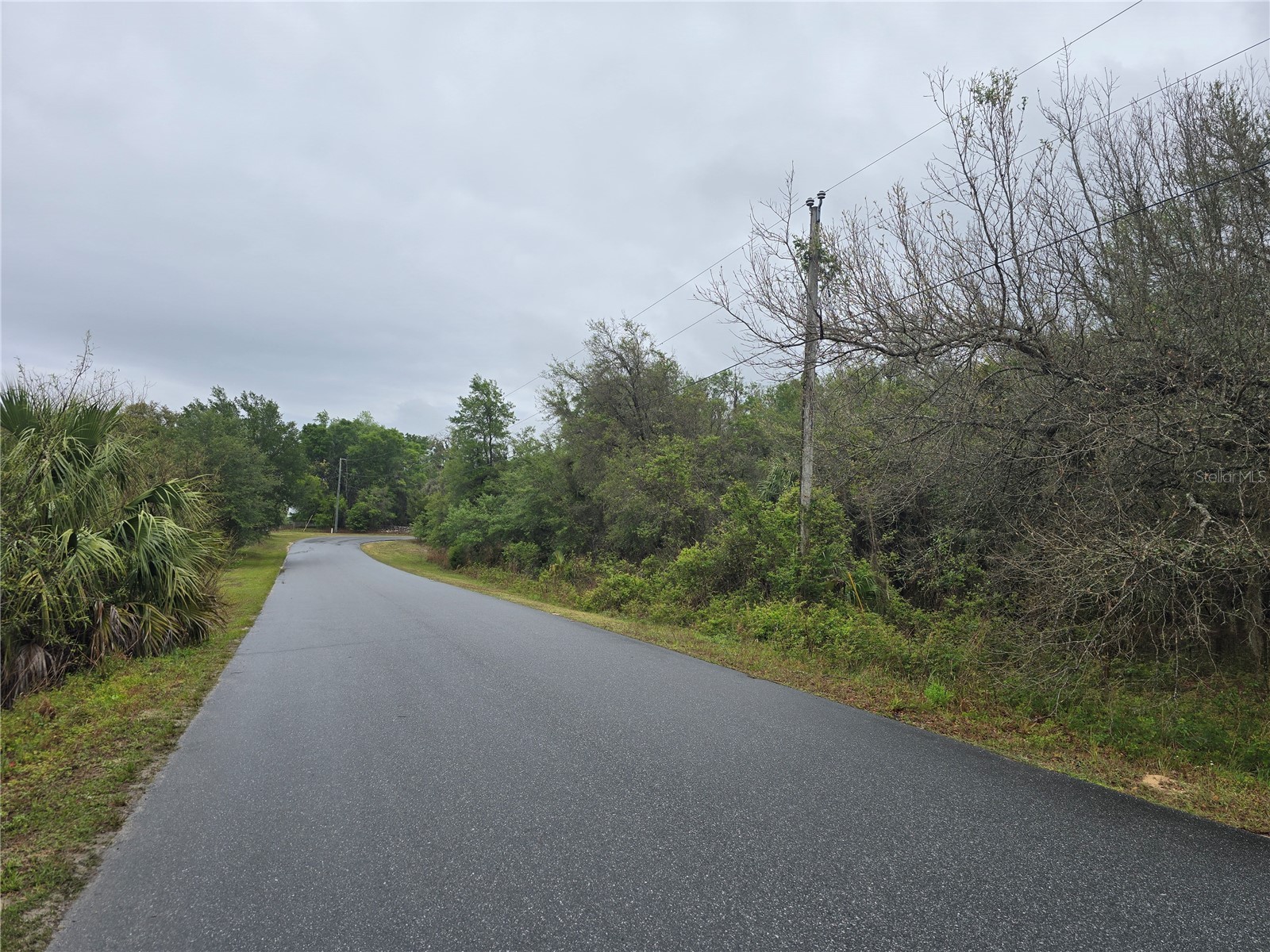 6727 N Linen Point Dunnellon FL 34433 W7885601 image6