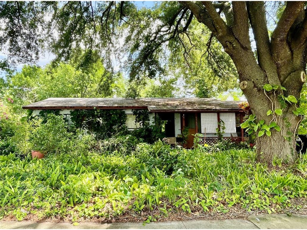 6727 Peony Lane Orlando FL 32807 O6123289 image1