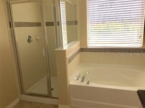 6728 Bridgewater Village Road Windermere FL 34786 O6412340 image7