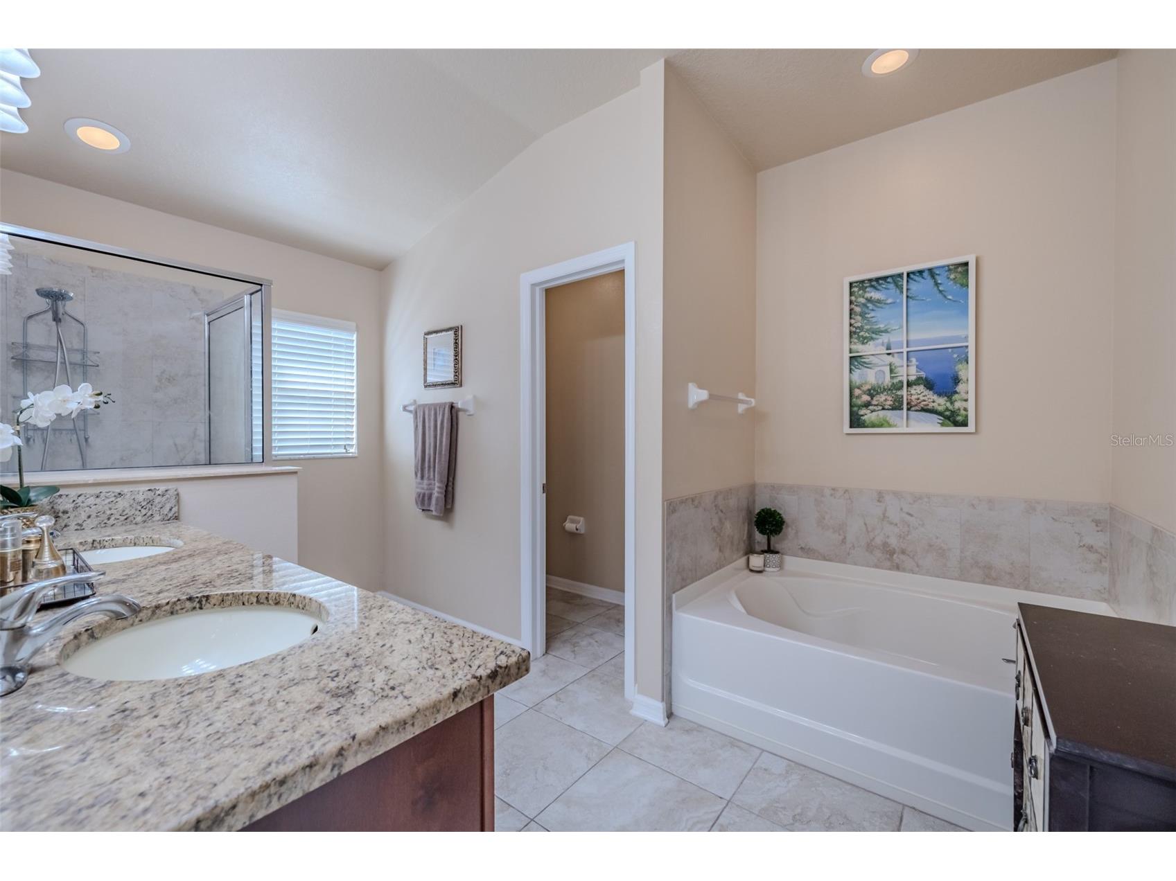 6728 Wild Elm Court Wesley Chapel FL 33545 TB8466656 image21