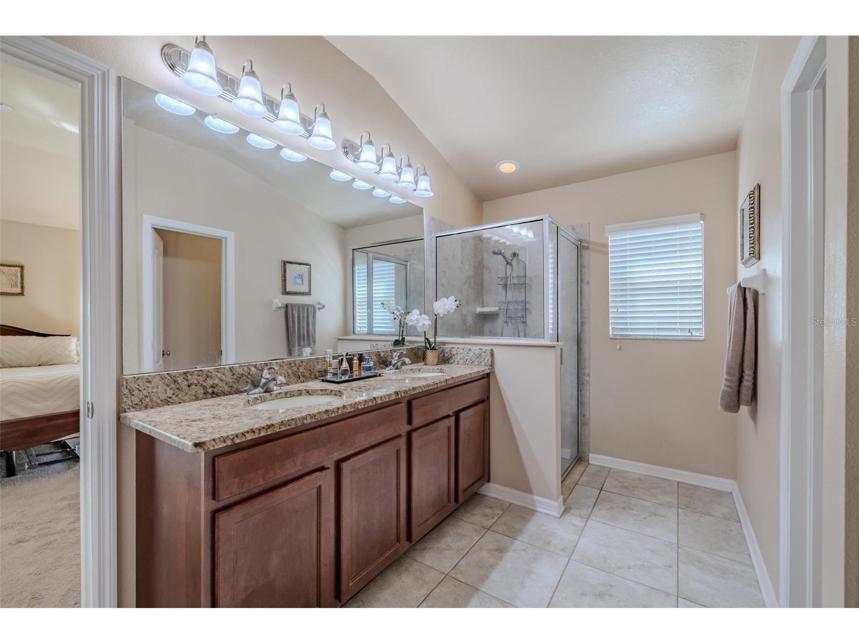 6728 Wild Elm Court Wesley Chapel FL 33545 TB8466656 image22