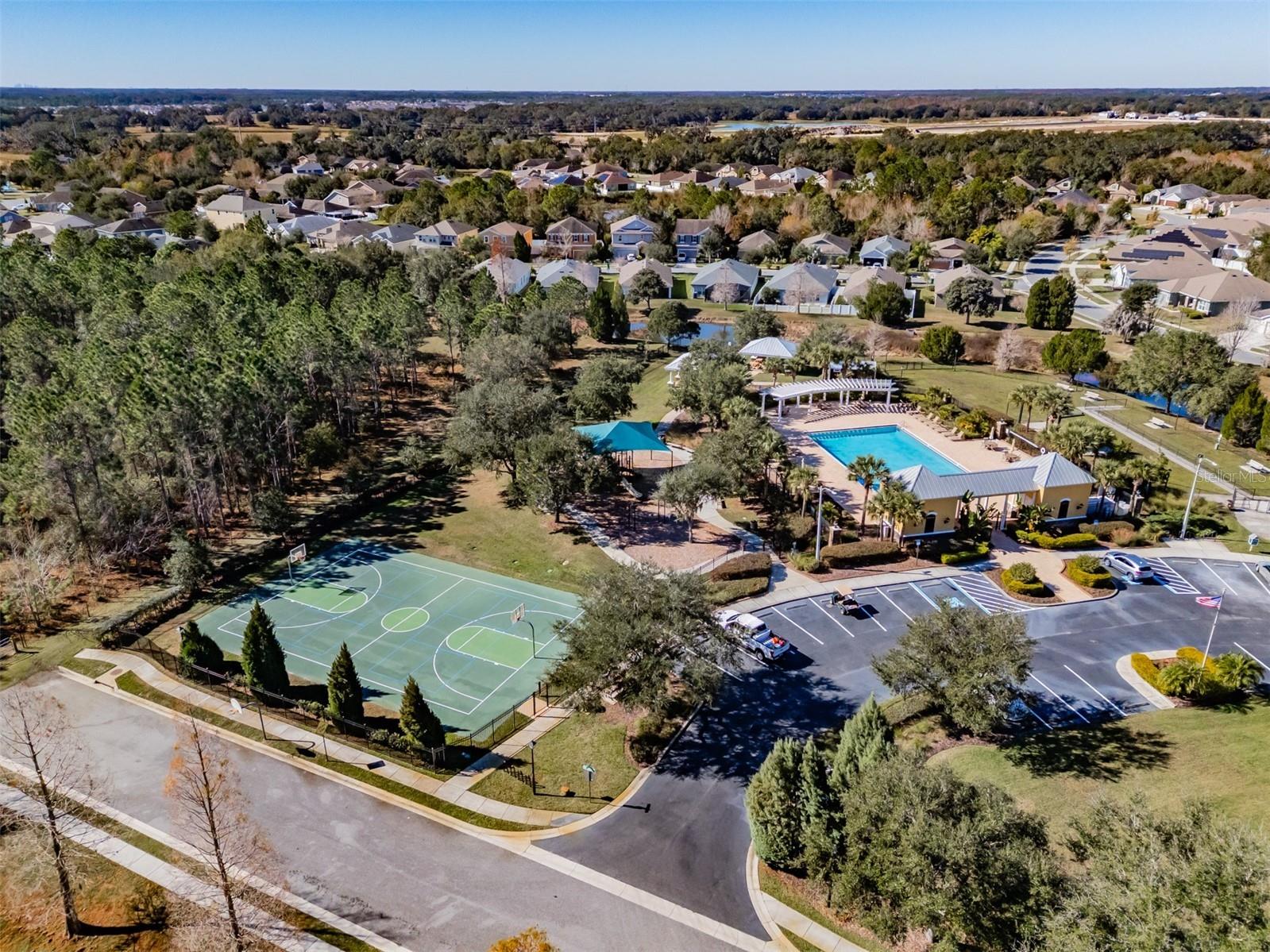 6728 Wild Elm Court Wesley Chapel FL 33545 TB8466656 image31