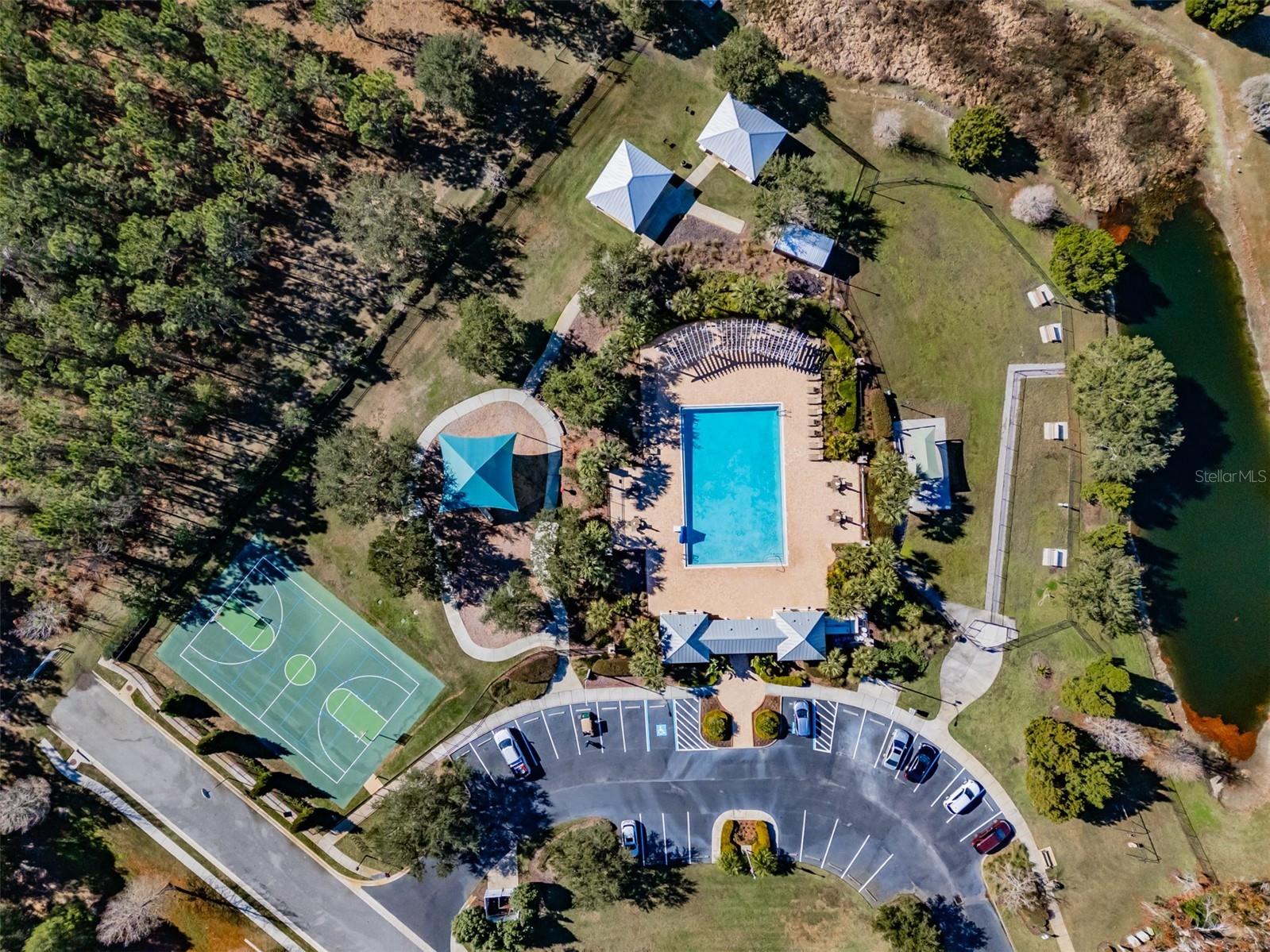 6728 Wild Elm Court Wesley Chapel FL 33545 TB8466656 image32