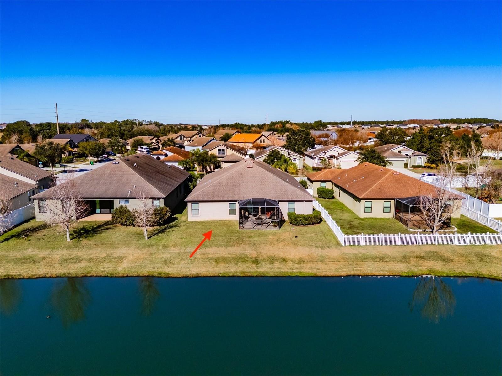 6728 Wild Elm Court Wesley Chapel FL 33545 TB8466656 image33
