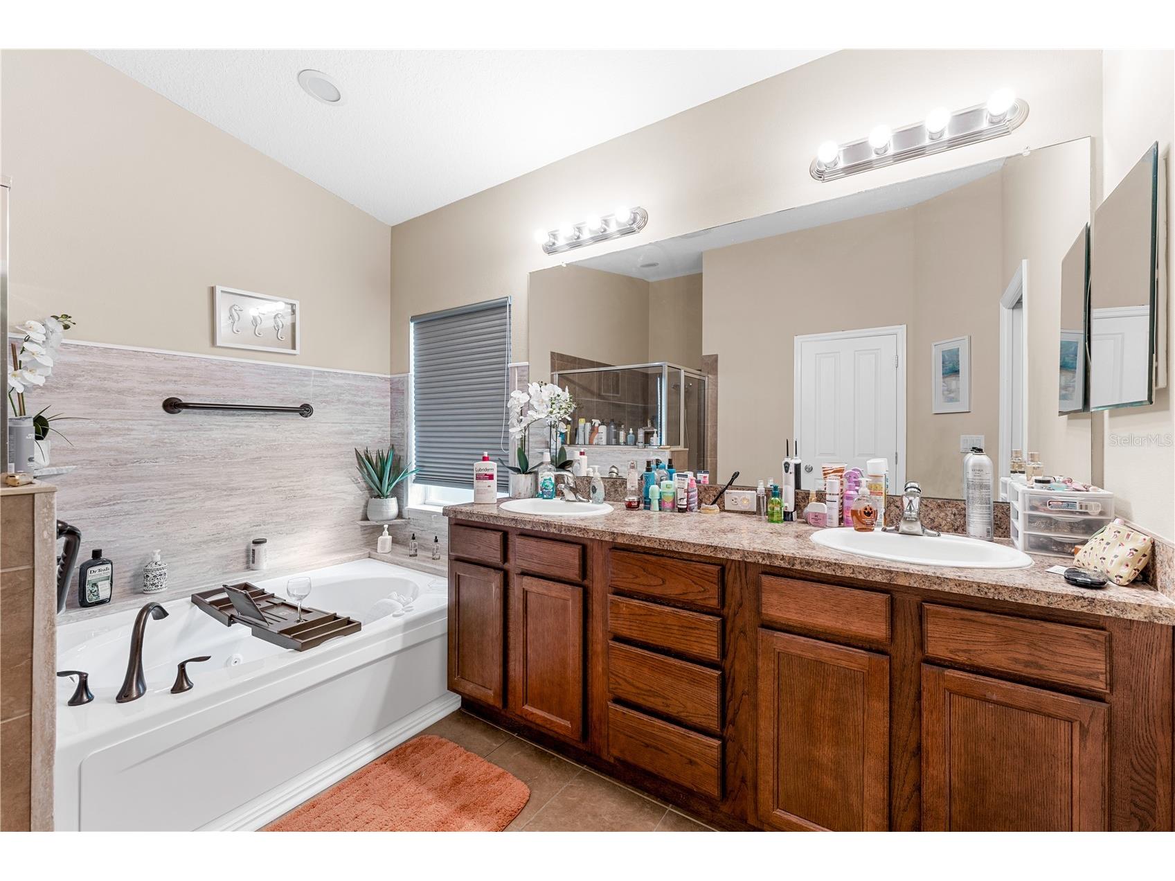 6729 Boulder Run Loop Wesley Chapel FL 33545 TB8466001 image14