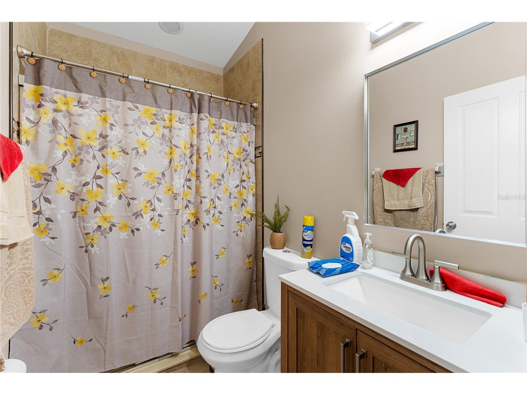 6729 Boulder Run Loop Wesley Chapel FL 33545 TB8466001 image19