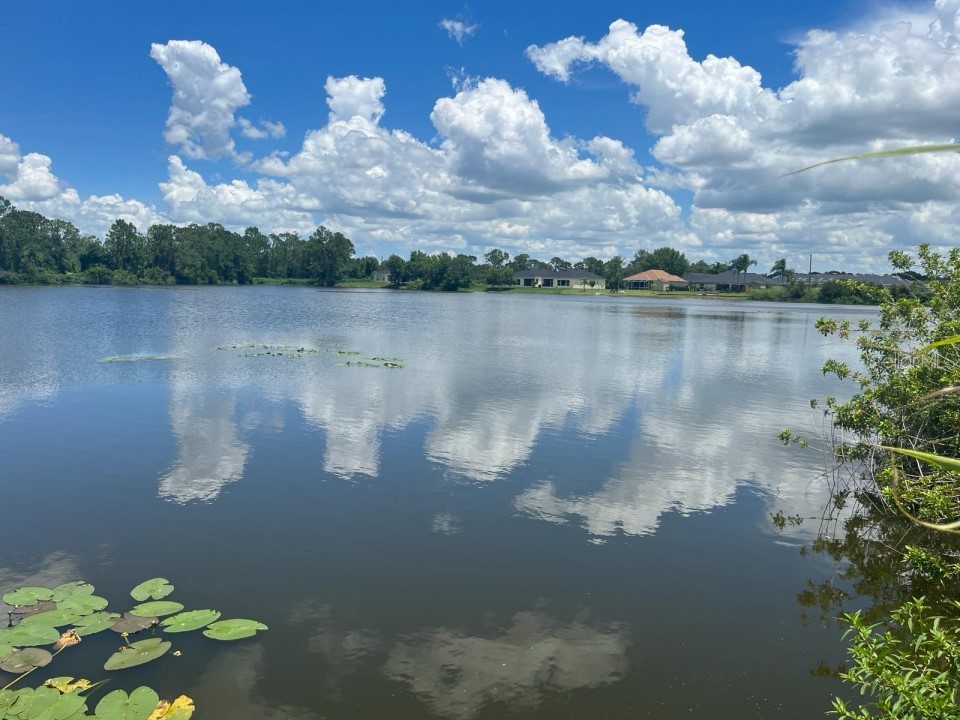 6729 Jill Street Sebring FL 33872 O6194304 image1