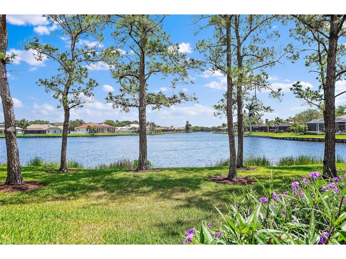 673 Malta Court NE #203 Saint Petersburg FL 33703 U8197411 image1