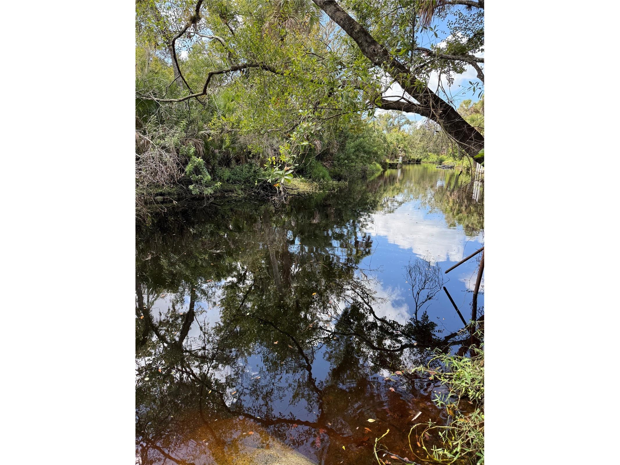 673 S Moon Drive Venice FL 34292 - MYAKKA RIVER A4686042 image1