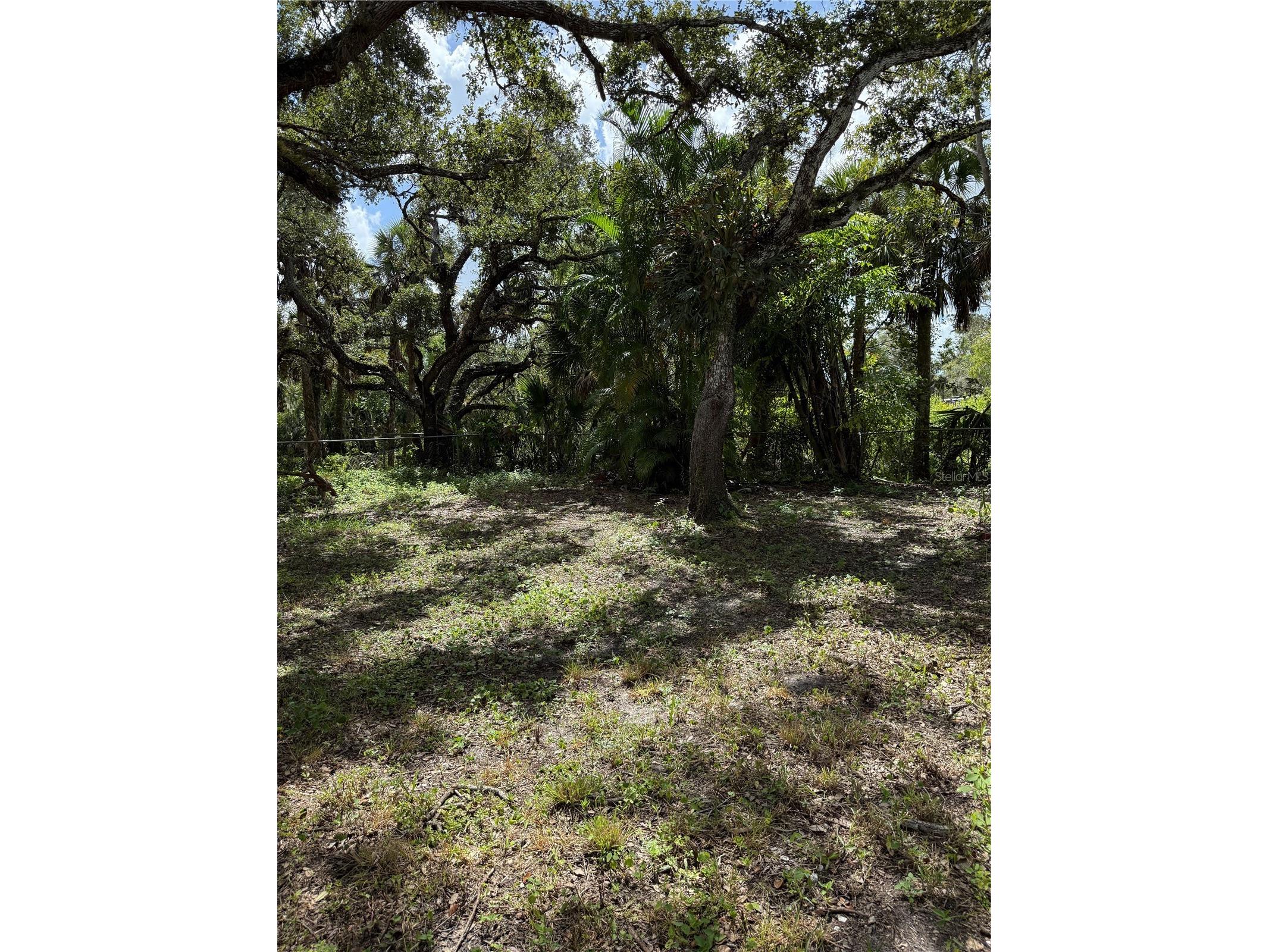 673 S Moon Drive Venice FL 34292 - MYAKKA RIVER A4686042 image2