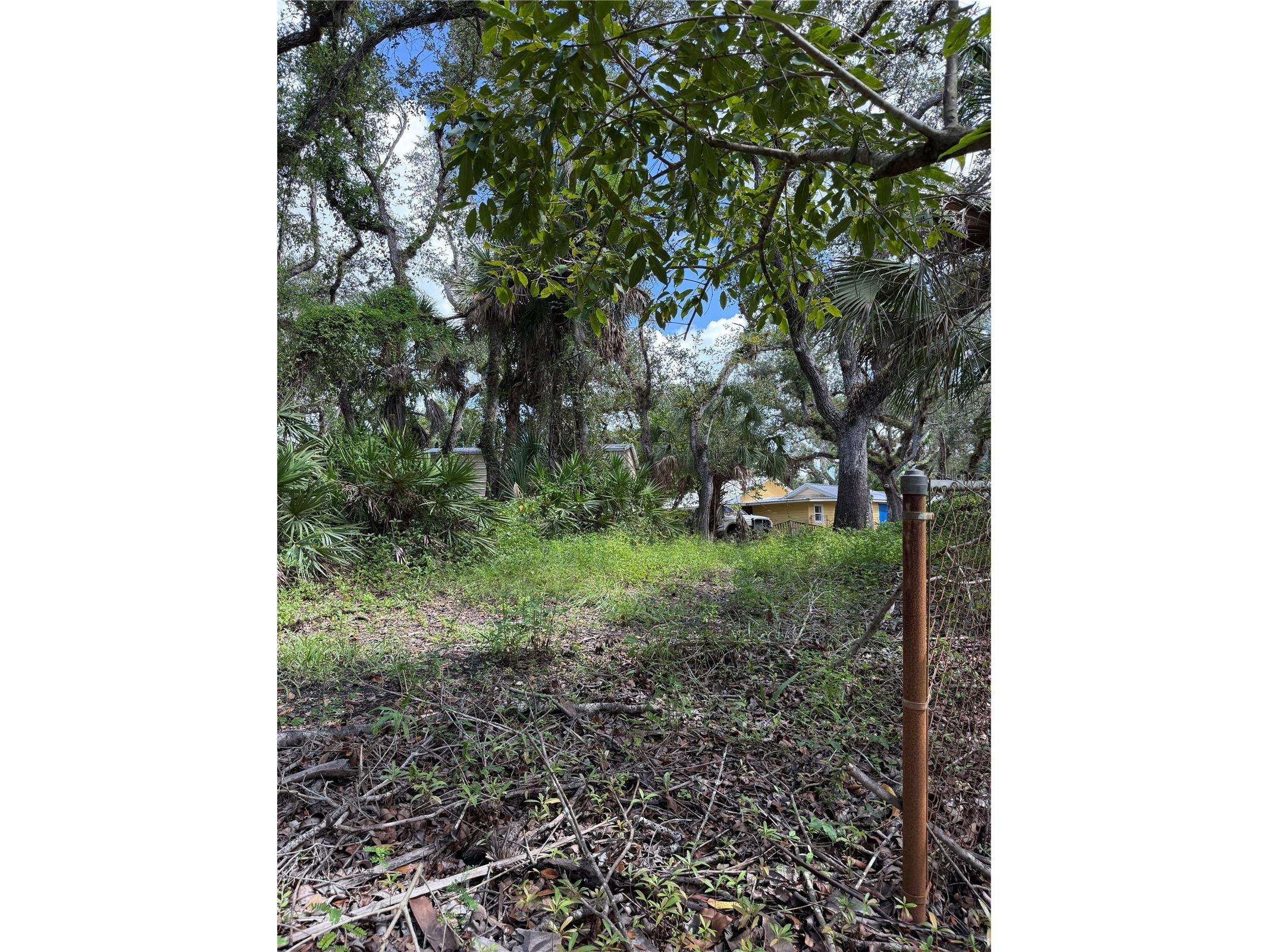 673 S Moon Drive Venice FL 34292 - MYAKKA RIVER A4686042 image3