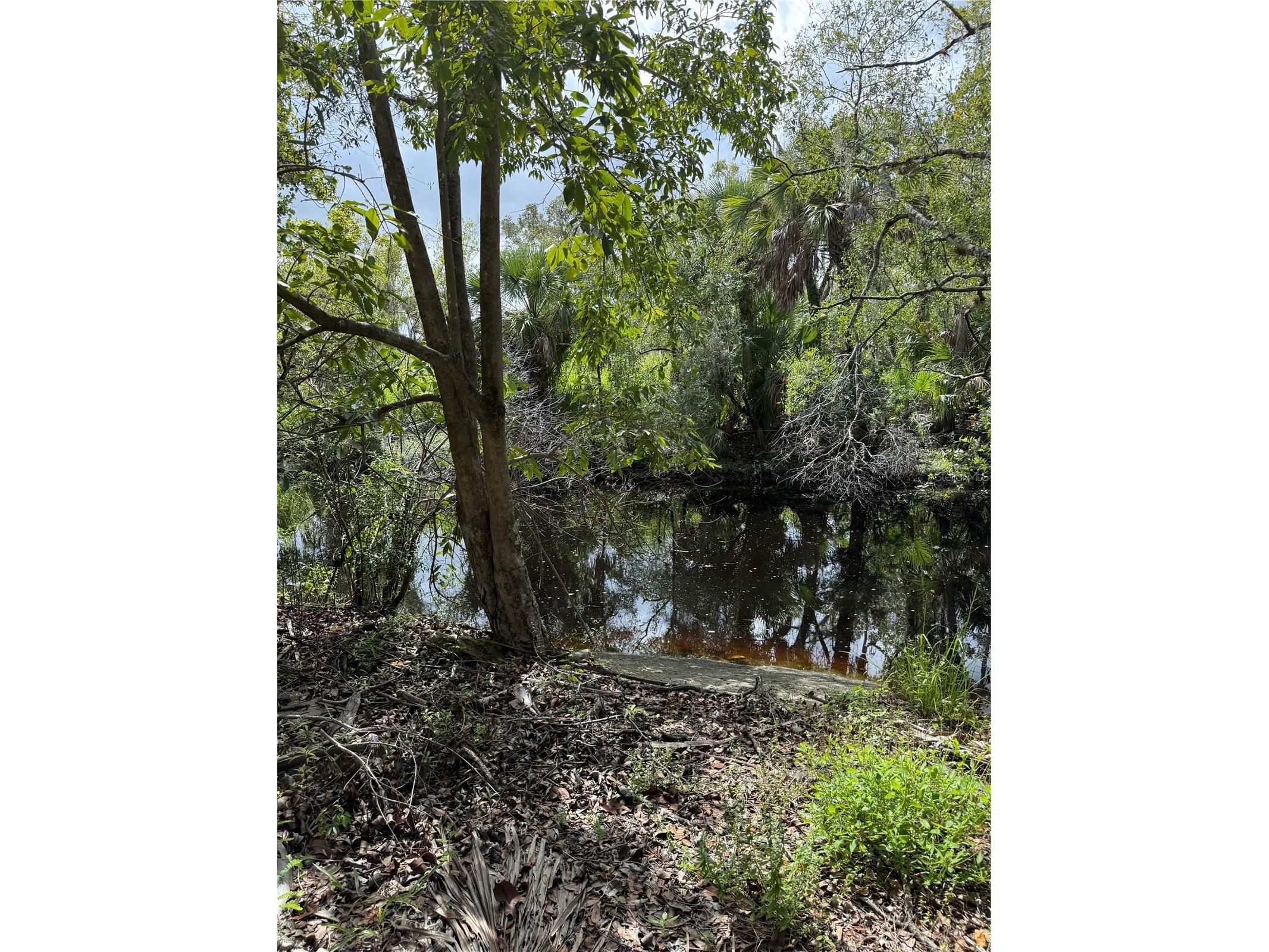 673 S Moon Drive Venice FL 34292 - MYAKKA RIVER A4686042 image4