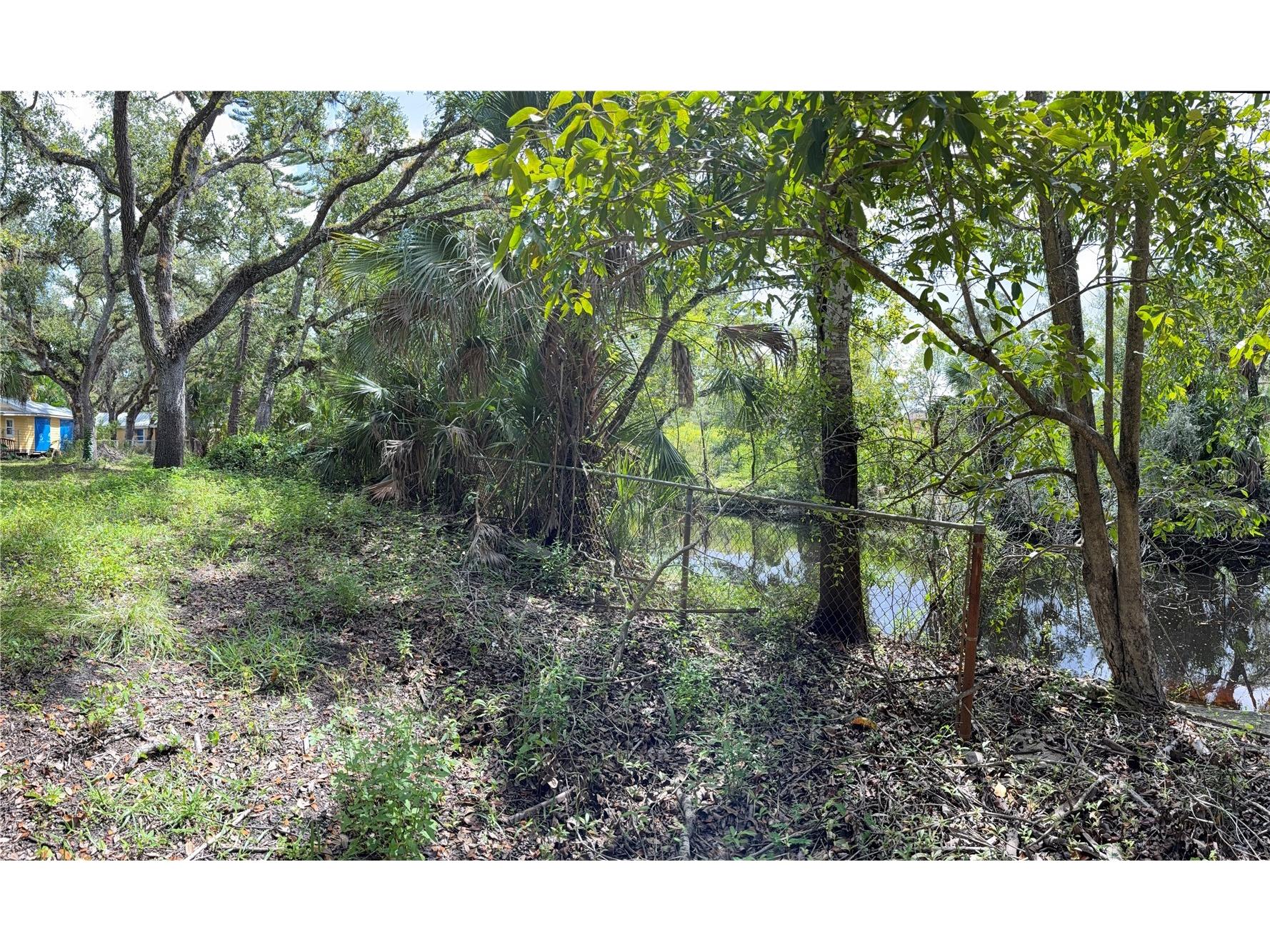 673 S Moon Drive Venice FL 34292 - MYAKKA RIVER A4686042 image5