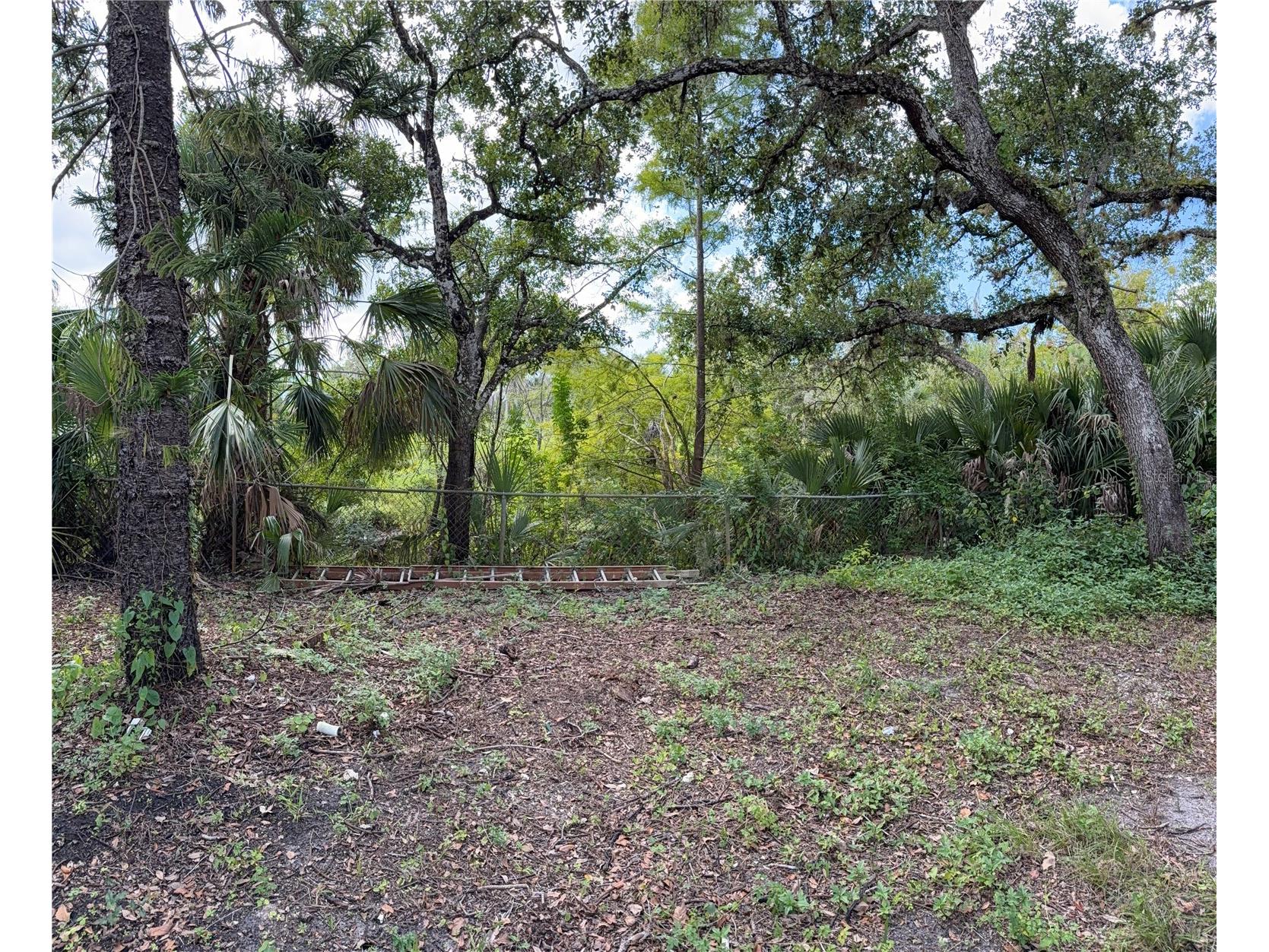 673 S Moon Drive Venice FL 34292 - MYAKKA RIVER A4686042 image6