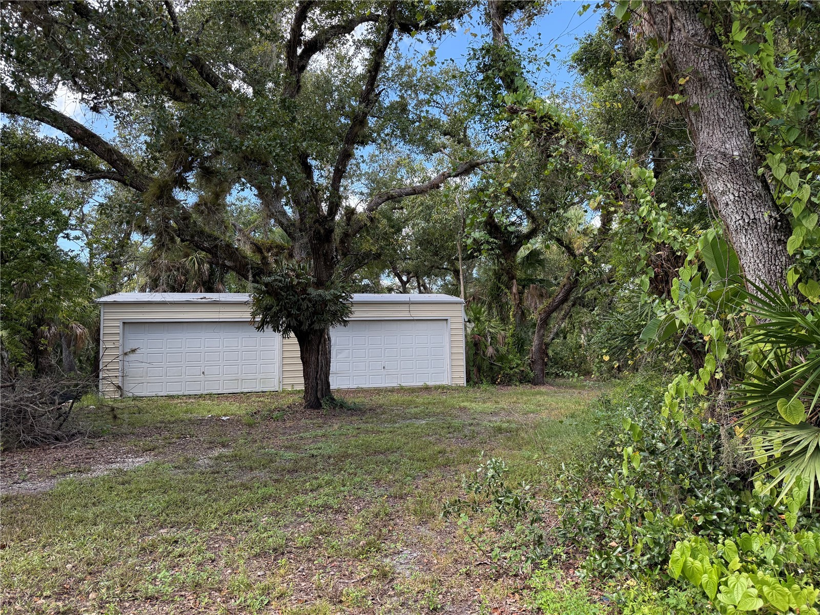 673 S Moon Drive Venice FL 34292 - MYAKKA RIVER A4686042 image7