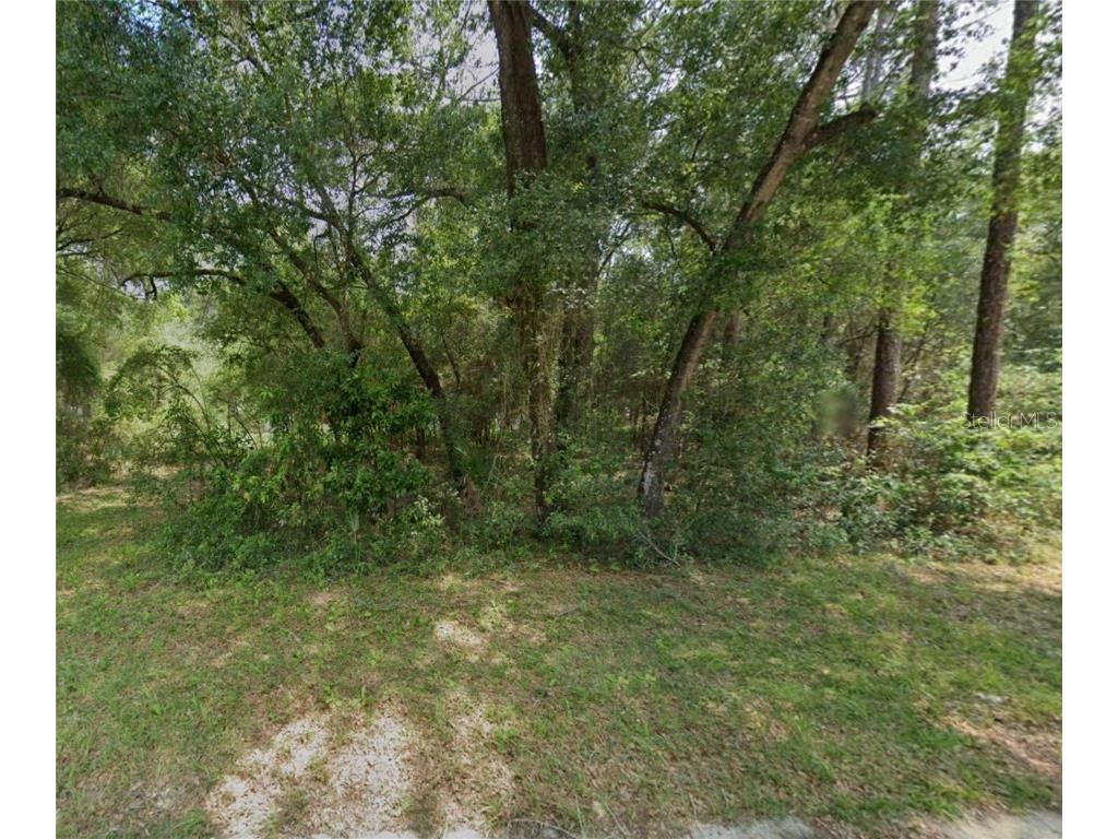 6730 E Glover Street Inverness FL 34452 O6180442 image1