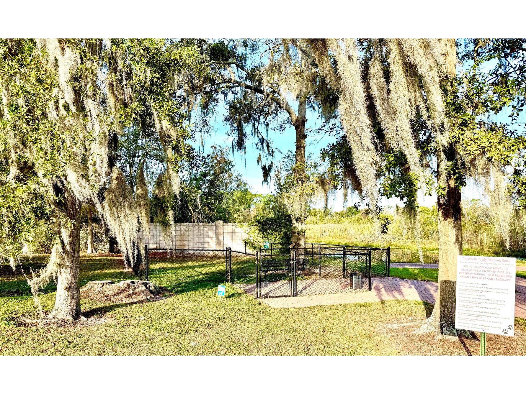 6731 Amanda Vista Circle Land O Lakes FL 34637 TB8459601 image14