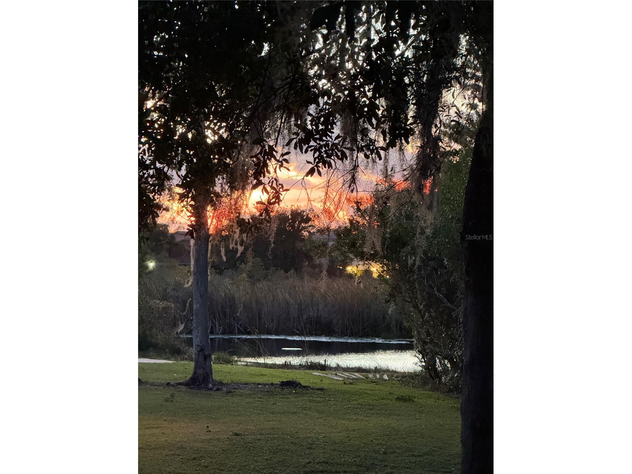 6731 Amanda Vista Circle Land O Lakes FL 34637 TB8459601 image16