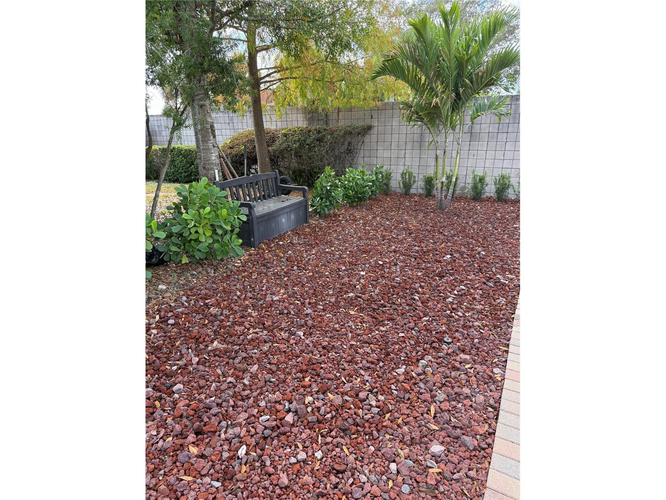 6731 Amanda Vista Circle Land O Lakes FL 34637 TB8459601 image4