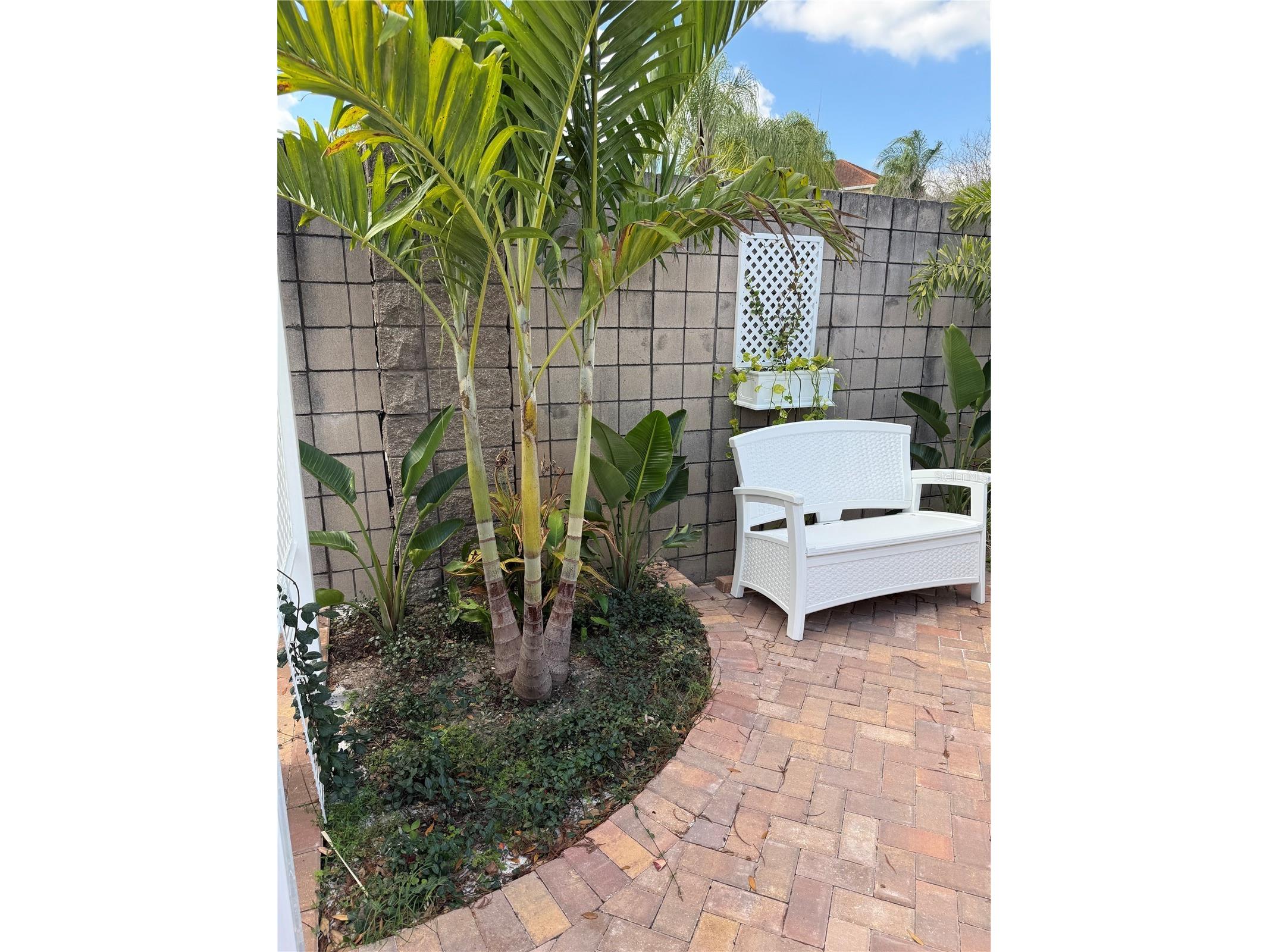 6731 Amanda Vista Circle Land O Lakes FL 34637 TB8459601 image8