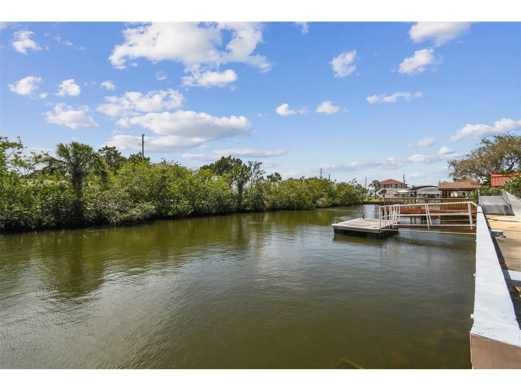 6732 Udell Lane Hudson FL 34667 - GULF OF MEXICO TB8372678 image6