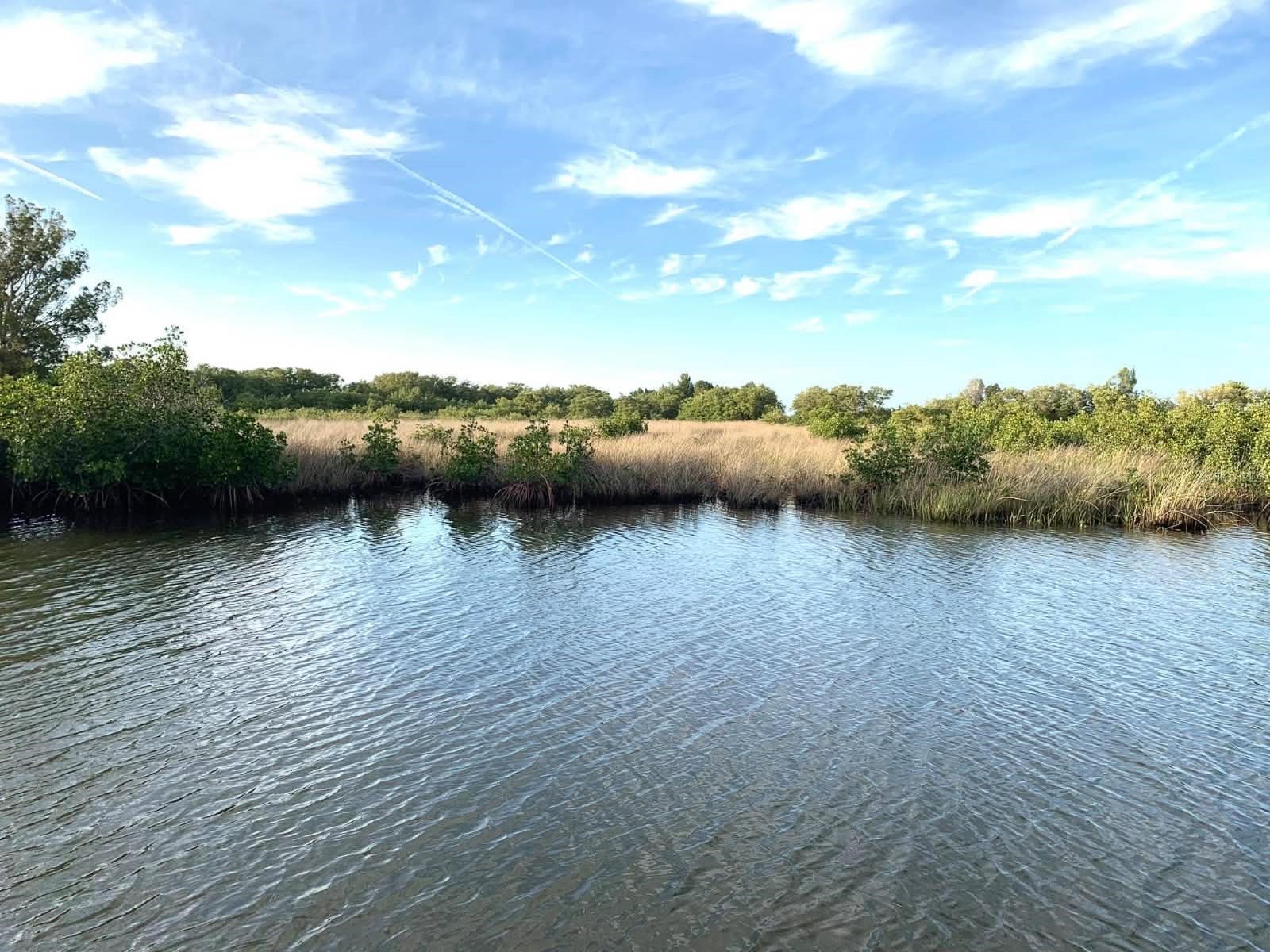 6733 Driftwood Drive Hudson FL 34667 TB8507983 image2