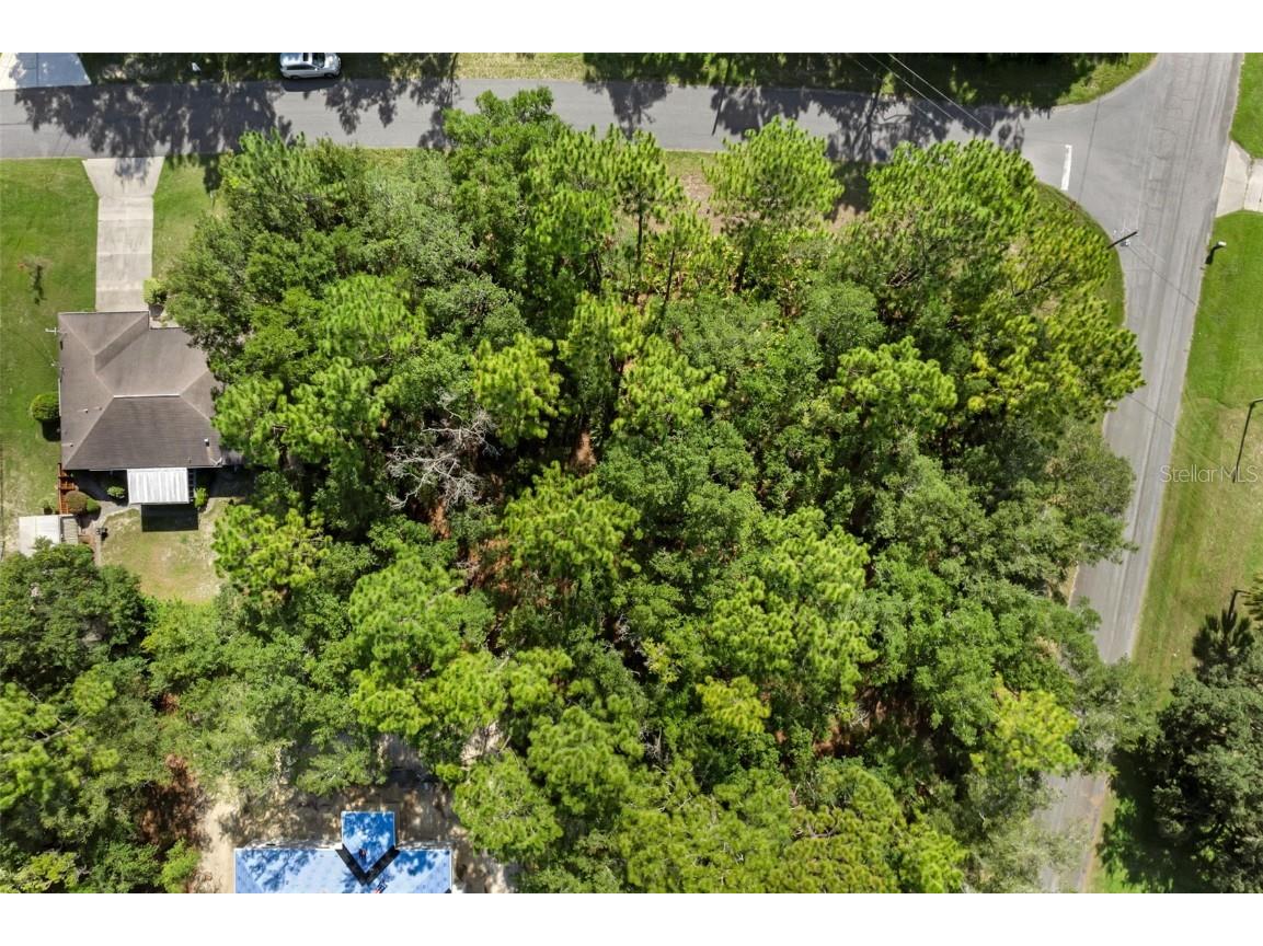 6733 N Nantucket Way Dunnellon FL 34434 S5131282 image2