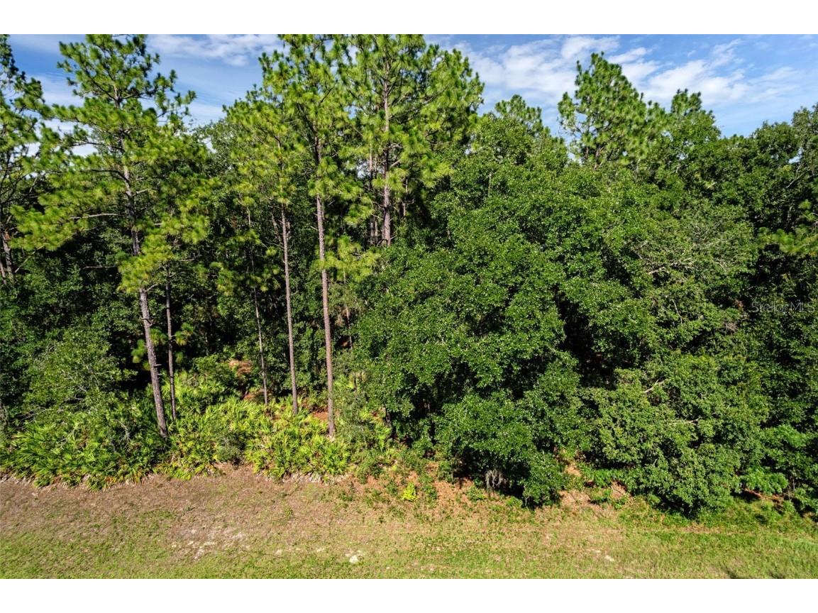 6733 N Nantucket Way Dunnellon FL 34434 S5131282 image3