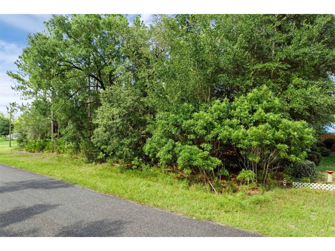 6733 N Nantucket Way Dunnellon FL 34434 S5131282 image4