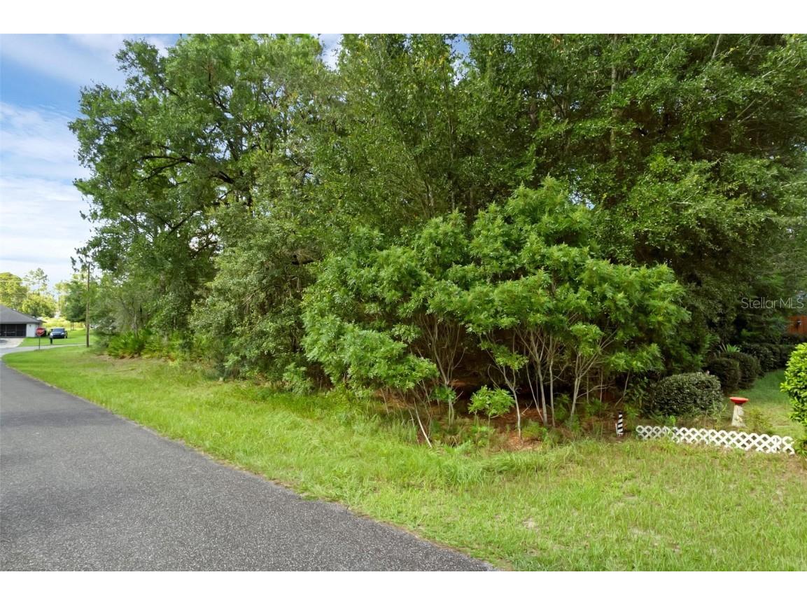 6733 N Nantucket Way Dunnellon FL 34434 S5131282 image5