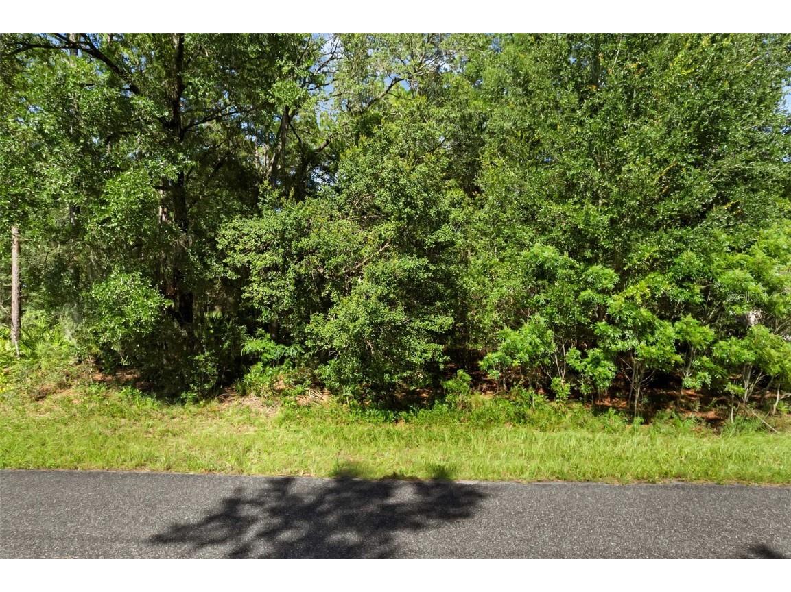 6733 N Nantucket Way Dunnellon FL 34434 S5131282 image6