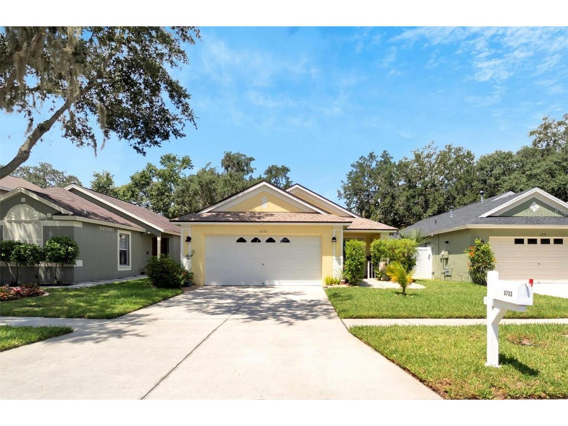 6733 Summer Haven Drive Riverview FL 33578 T3467879 image1