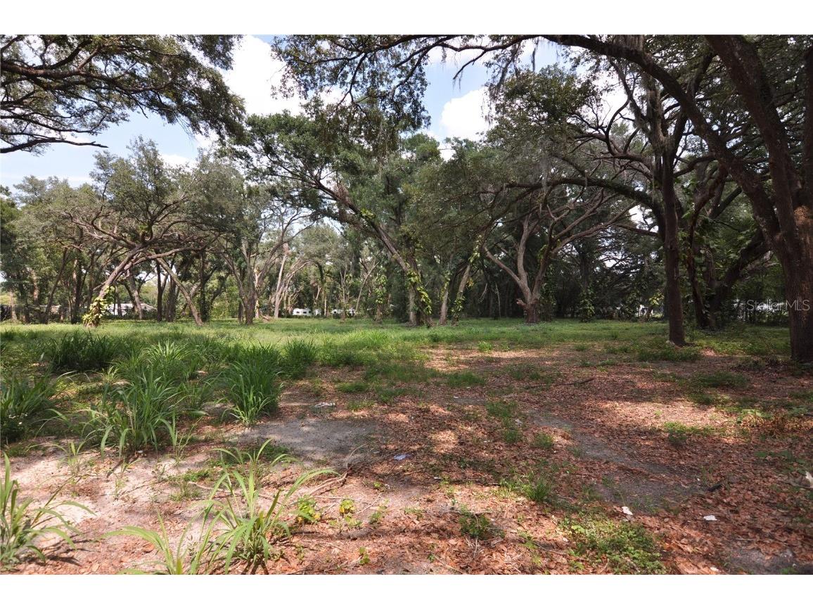 6734 20th Street Zephyrhills FL 33542 TB8390305 image1