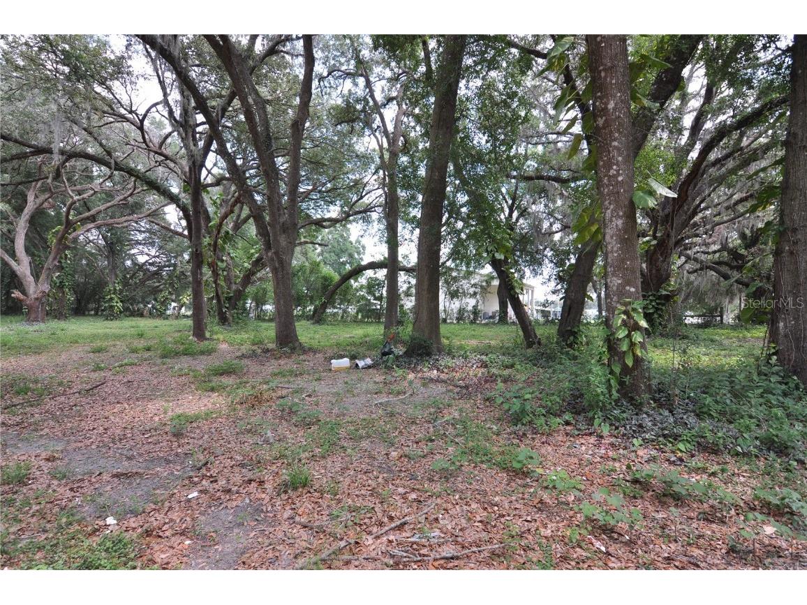 6734 20th Street Zephyrhills FL 33542 TB8390305 image2