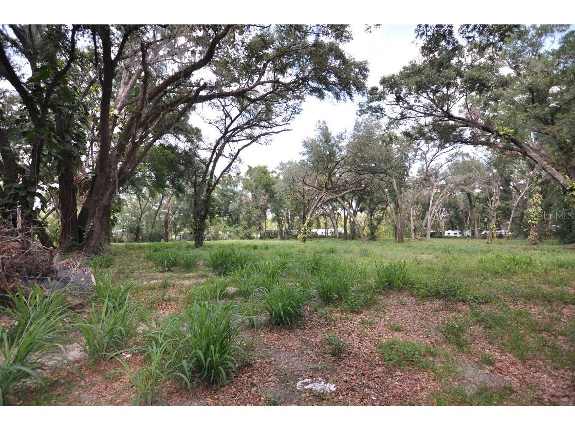 6734 20th Street Zephyrhills FL 33542 TB8390305 image3