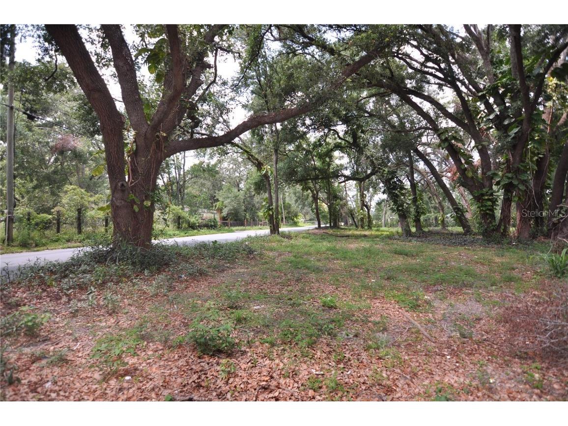 6734 20th Street Zephyrhills FL 33542 TB8390305 image4