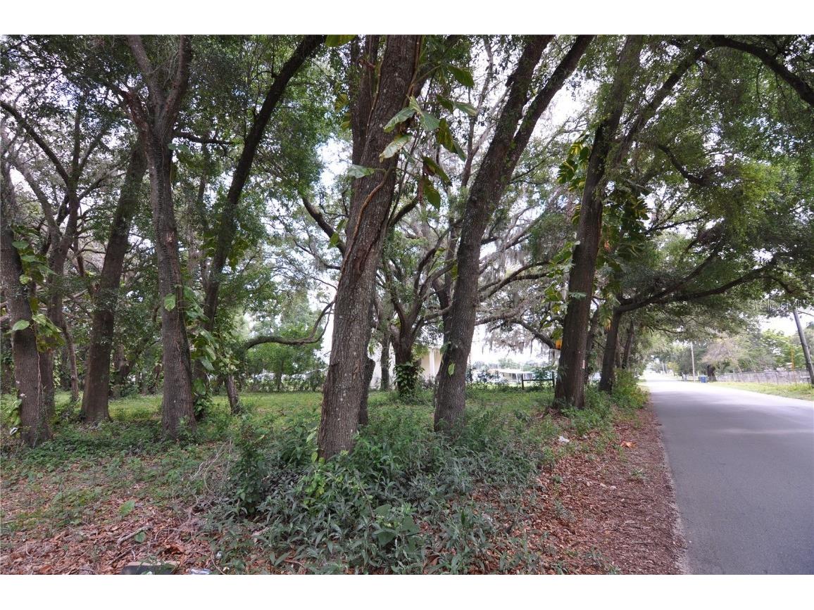 6734 20th Street Zephyrhills FL 33542 TB8390305 image5