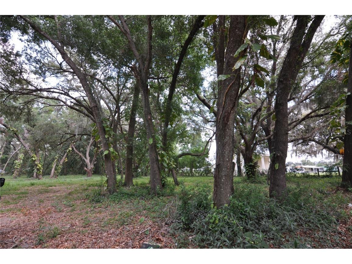 6734 20th Street Zephyrhills FL 33542 TB8390305 image6