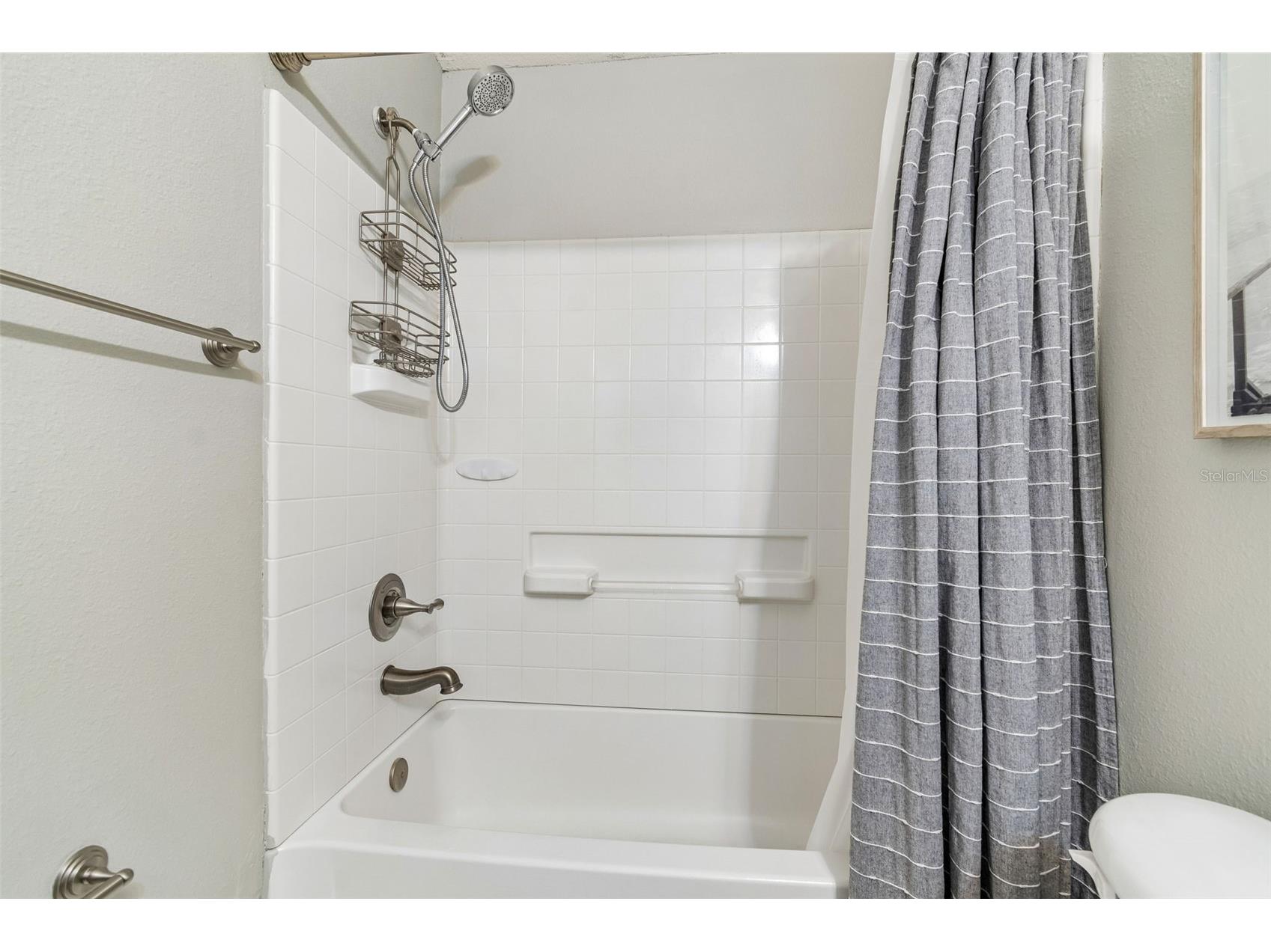 6734 Breezy Palm Drive Riverview FL 33578 TB8515197 image30