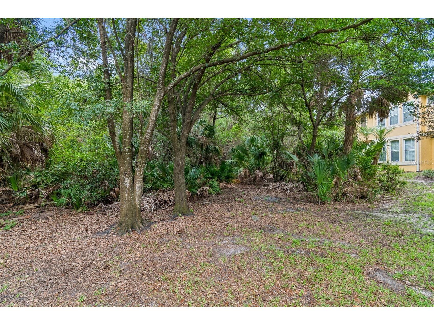 6734 Breezy Palm Drive Riverview FL 33578 TB8515197 image35