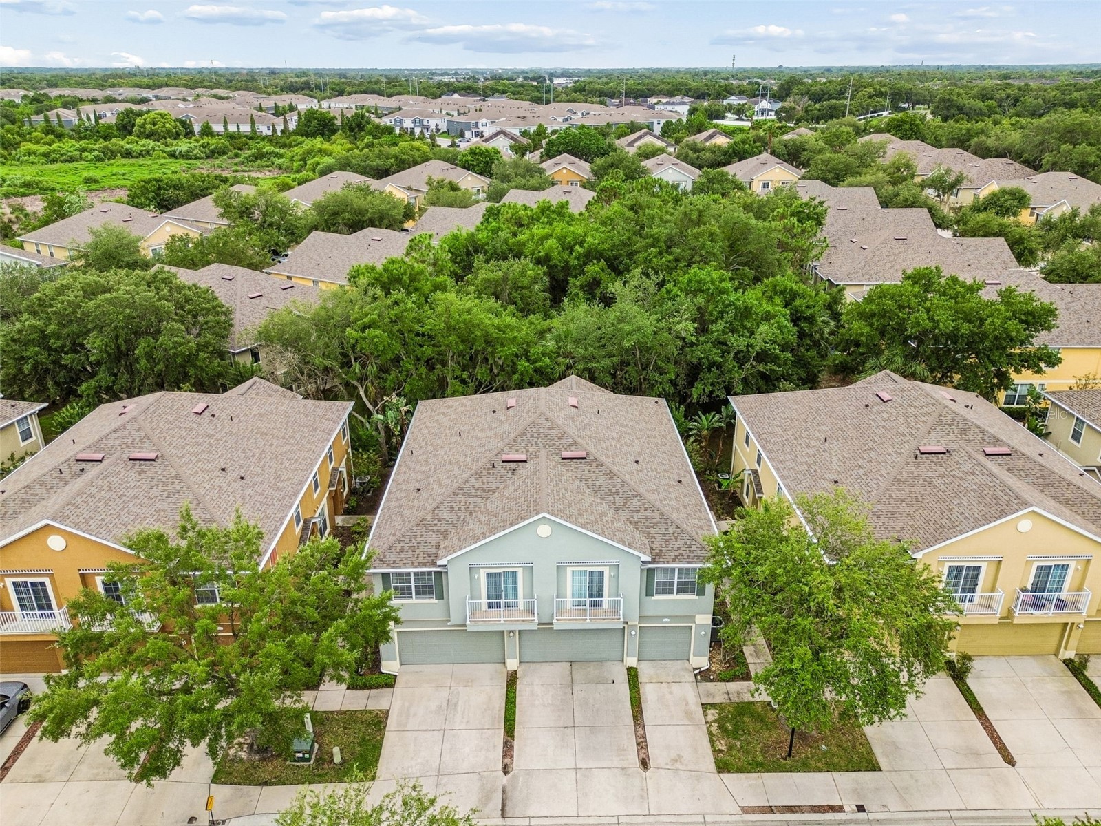 6734 Breezy Palm Drive Riverview FL 33578 TB8515197 image50
