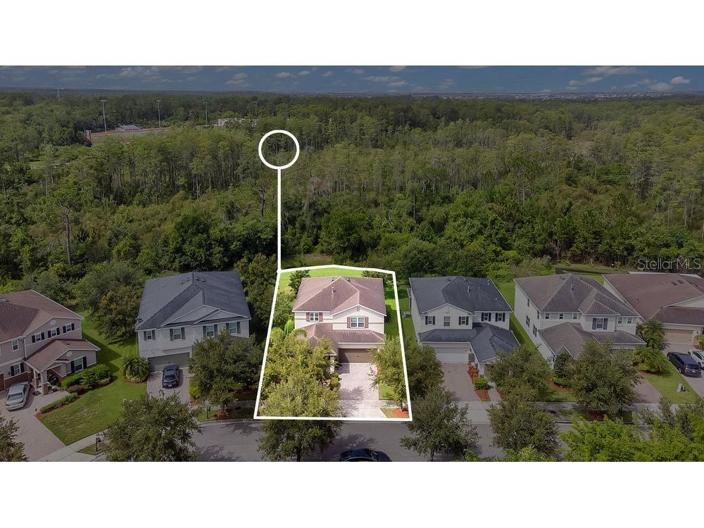 6734 Bridgewater Village Road Windermere FL 34786 O6334030 image1