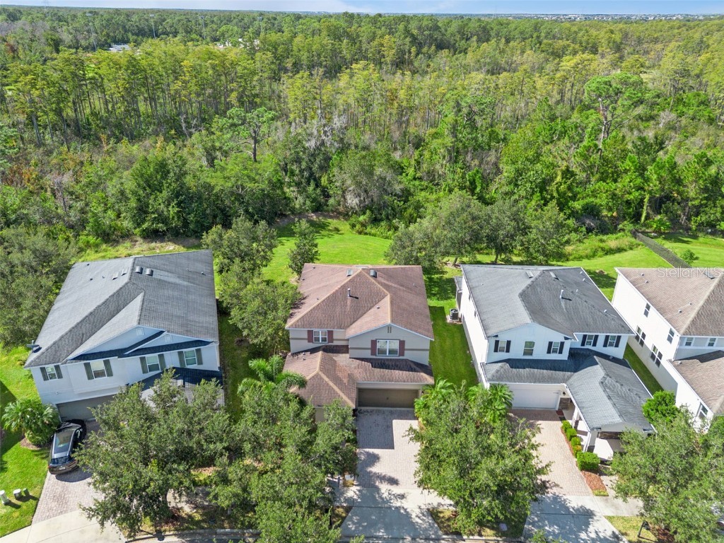 6734 Bridgewater Village Road Windermere FL 34786 O6334030 image3