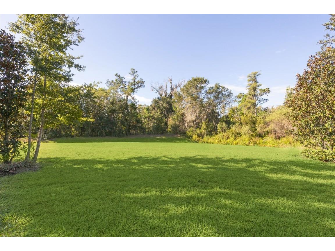 6734 Bridgewater Village Road Windermere FL 34786 O6334030 image44