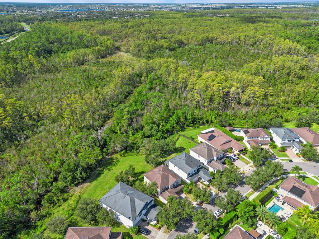 6734 Bridgewater Village Road Windermere FL 34786 O6334030 image47