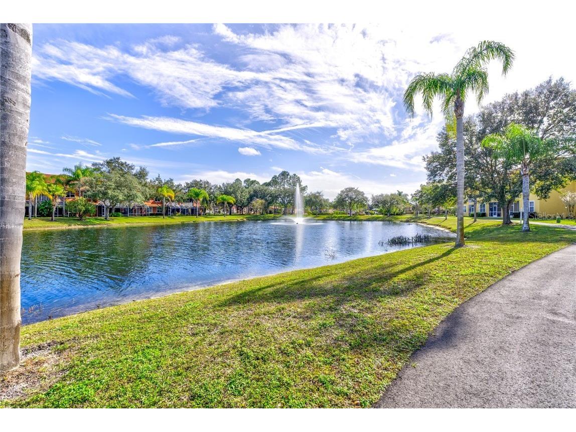 6734 Dali Avenue #205 Land O Lakes FL 34637 - LAGUNA DE PAZ W7872320 image1